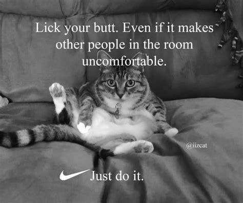 Nike 'Just Do It' Cat Memes That Will Make Your Caturday | Funny cat memes, Cat quotes, Cat memes