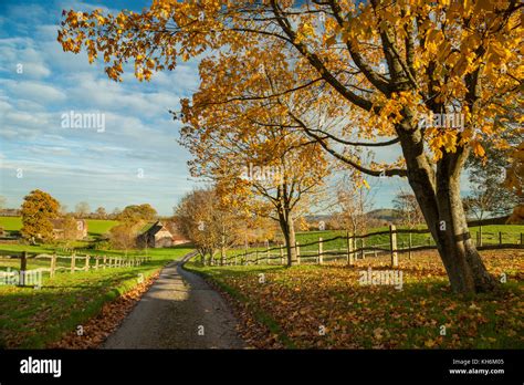 Autumn afternoon in the West Sussex countryside, England Stock Photo ...