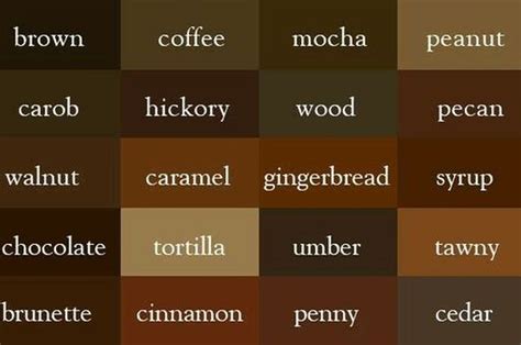 10 Macam Warna Coklat: Sejaran Hingga Fakta Unik di Baliknya - Sonora.id