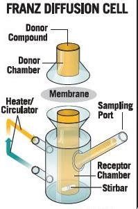 Fig. No.3 : Franz diffusion cell apparatus; | Download Scientific Diagram