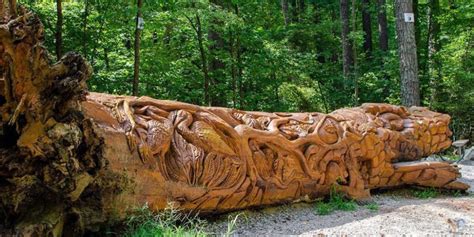 William B. Umstead State Park in Raleigh NC: Trails, Chainsaws, and More | State parks, Day ...