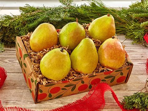 Comice Pears - Hale Groves, serving fresh since 1947