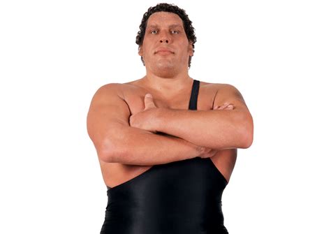 André the Giant | OfficialWWE Wiki | FANDOM powered by Wikia