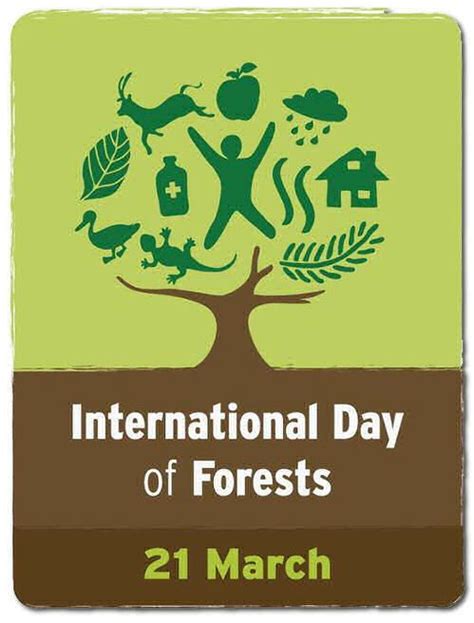 March 21 is International Day of Forests | International day, Forest ...