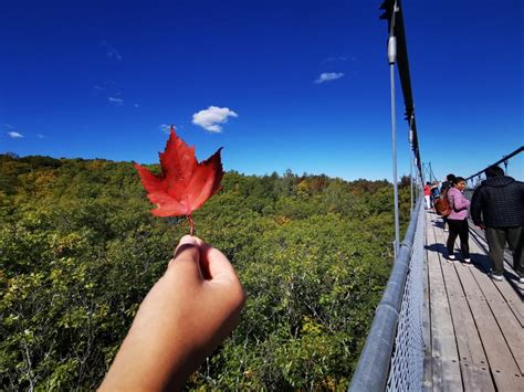 SCENIC CAVES & BLUE MOUNTAIN - Fall Colors Tour