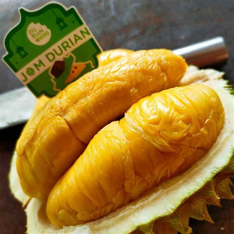 D197 Musang King (350g) – DurianBB Malaysia