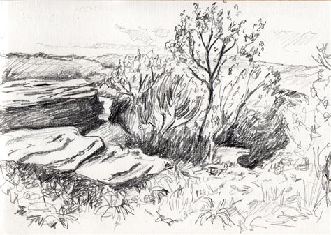 Drawing Texture - Landscape Sketches For Beginners - Pen, Watercolour