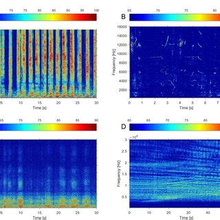 Example spectrograms of beluga whale pulsed calls (A), beluga whistles ...