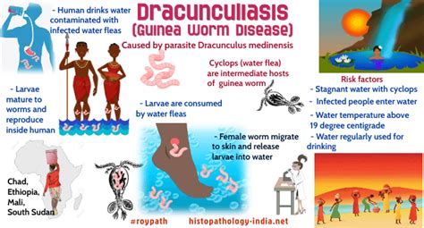 Pathology of Dracunculiasis (Guinea Worm Disease) - Dr Sampurna Roy MD