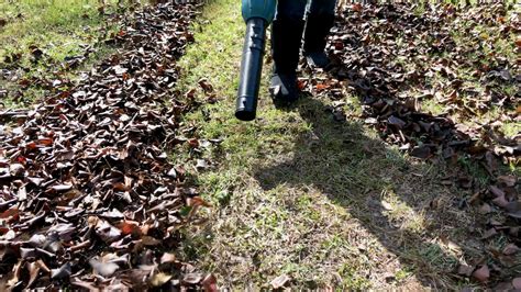 Makita Brushless Cordless Blower Kit Review - Mother Daughter Projects