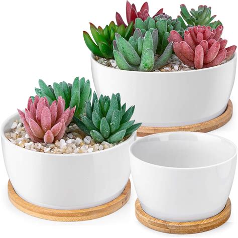 The 15 Best Pots for Succulents of 2023 - Best Garden Tips