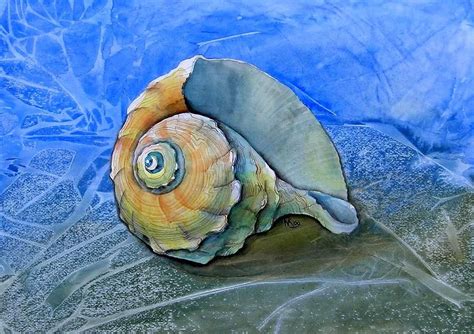 paintings of seashells | Seashell Painting Diy Wall Painting, Seashell ...