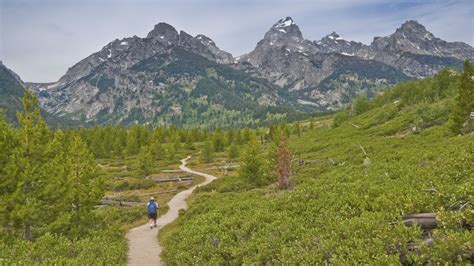 Jackson Hole Hiking - Grand Tetons - Yellowstone - Placs to Hike ...