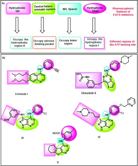 EGFR inhibitors' pharmacophoric features. | Download Scientific Diagram