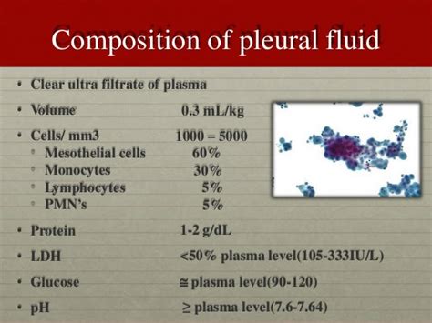 Pleural Effusion for Undergraduates