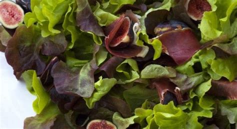 Oak Leaf Lettuce Salad with Figs & Ham | Lettuce salad, Wine recipes, Lettuce