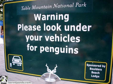 55 Funniest Signs Around the World | Funny signs, Fun signs, Signs