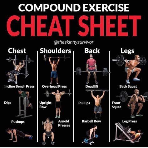 COMPOUND & ISOLATION EXERCISE CHEAT SHEET | GUIDE