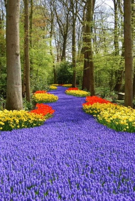 Tulip Garden Ideas #flowergardenideas | Tulips garden, Flower garden, Blossom garden