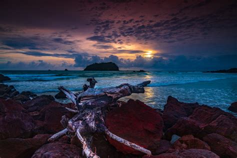 Mt Maunganui sunrise Motuotau Island South Island, New Zealand