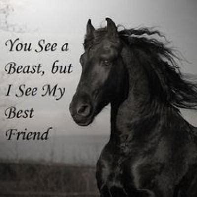 Horse Pictures With Quotes