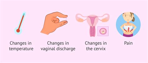 Vaginal Discharge When Ovulating