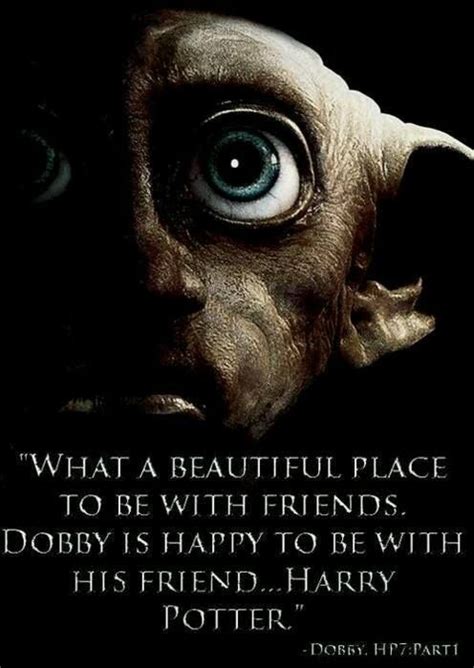 Dobby; | Dobby harry potter, Dobby harry, Harry potter friendship