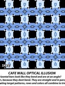 Optical Illusion Makes Parallel Lines Look Slanted | Others