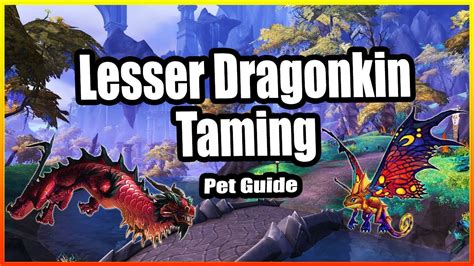 Lesser Dragonkin Taming│Hunter Pet Guide│Dragonflight - YouTube