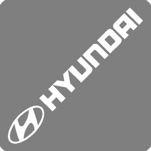 Hyundai Decal