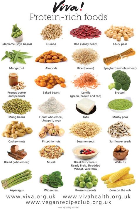 Protein-rich foods wallchart | Viva! Health | High protein foods list ...