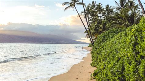 Maui Hikes - Aloha Vacay