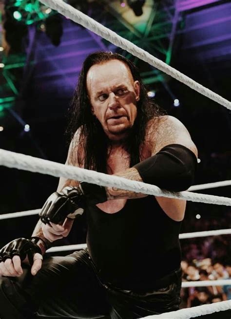 The Undertaker ☠️ | Undertaker, Undertaker wwe, Stephanie mcmahon