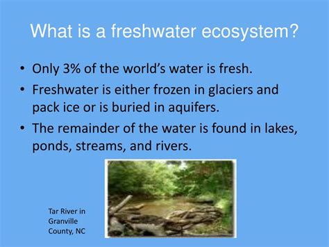 PPT - Freshwater Ecosystem PowerPoint Presentation, free download - ID ...