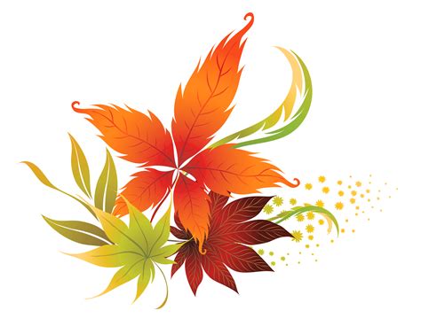 Fall flower png, Fall flower png Transparent FREE for download on ...