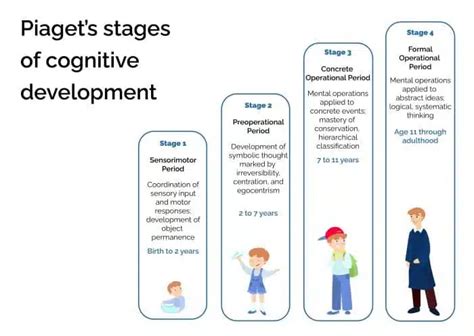 Piaget's Stages Of Cognitive Development: Comprehensive Guide For Coaches