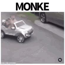 Monke Car GIF - Monke Car - Discover & Share GIFs