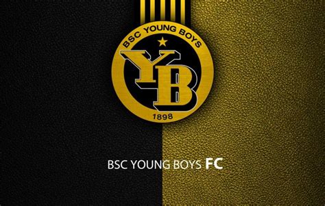 🔥 [20+] BSC Young Boys Wallpapers | WallpaperSafari