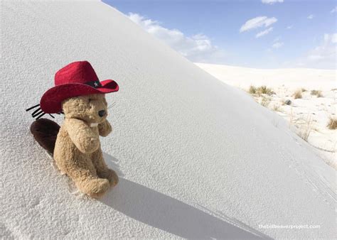 White Sands National Monument! - The Bill Beaver Project