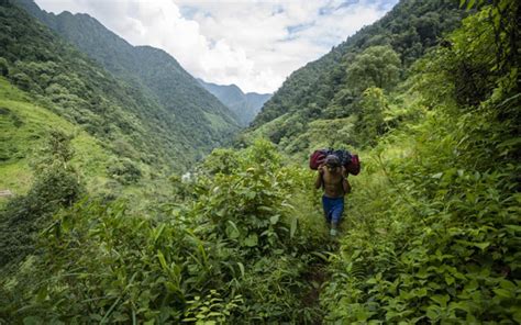 Arakan Mountains & Northern Triangle Forests (IM10) | One Earth