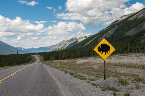 The Alaska Highway — The Greatest American Road Trip