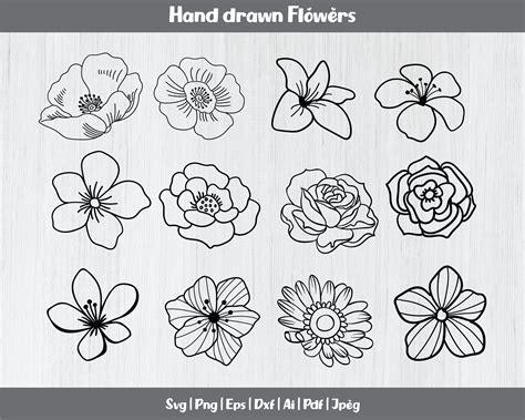 Hand Drawn Flowers Svg Bundle Roses Svg Flower Svg Cut - Etsy