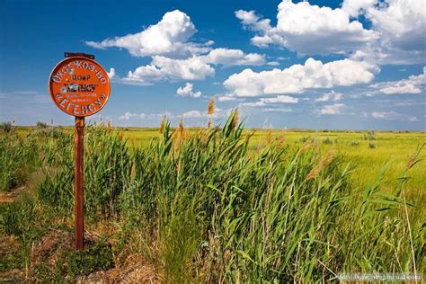 Kazakh Steppe - Alchetron, The Free Social Encyclopedia