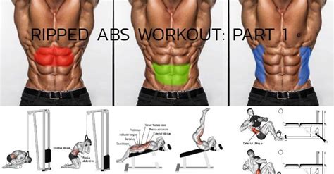 Here we bring to you part 1 of how to get your abs ripped! It’s as easy ...