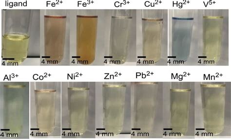 Color change of SL1 (1 × 10 −2 M in DMF) before and after the addition... | Download Scientific ...