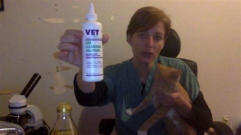 Cat Mites- Home remedies - YouTube