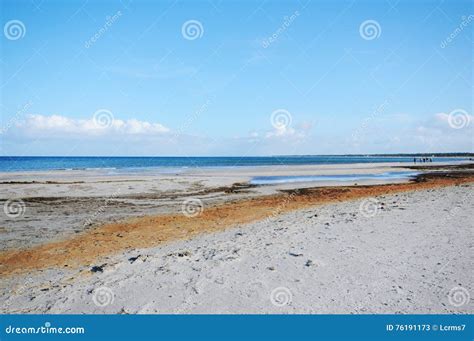 Walking through the Western Pomerania Lagoon Area National Park Stock ...