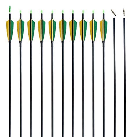 REEGOX Archery Hunting Practice Arrows for Compound and Recurve Bow-30 ...