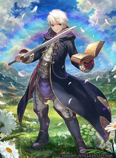 421 best Robin images on Pinterest | Fire emblem awakening, European robin and Fan art