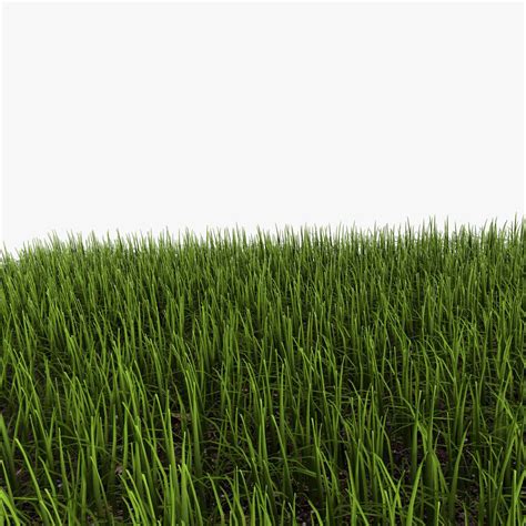 Grass Free 3D Model - .3ds - Free3D